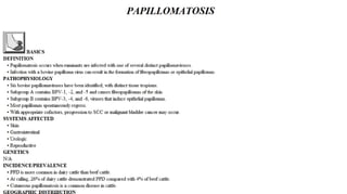 Blackwell's 5 Minute Veterinary Consult - Ruminant