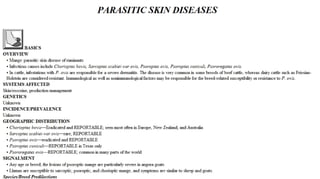 Blackwell's 5 Minute Veterinary Consult - Ruminant