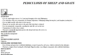 Blackwell's 5 Minute Veterinary Consult - Ruminant