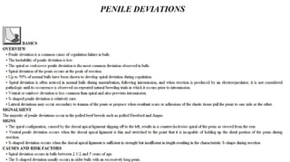 Blackwell's 5 Minute Veterinary Consult - Ruminant