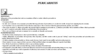 Blackwell's 5 Minute Veterinary Consult - Ruminant