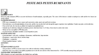 Blackwell's 5 Minute Veterinary Consult - Ruminant