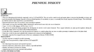 Blackwell's 5 Minute Veterinary Consult - Ruminant