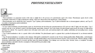 Blackwell's 5 Minute Veterinary Consult - Ruminant