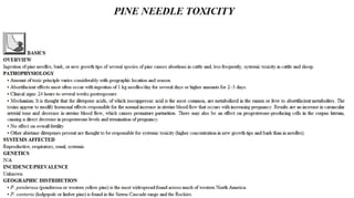 Blackwell's 5 Minute Veterinary Consult - Ruminant