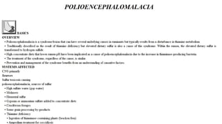 Blackwell's 5 Minute Veterinary Consult - Ruminant