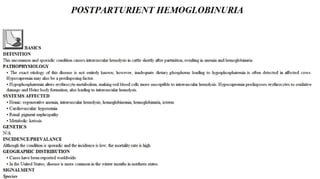 Blackwell's 5 Minute Veterinary Consult - Ruminant