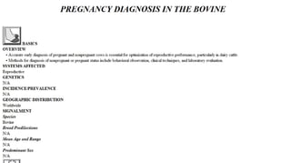 Blackwell's 5 Minute Veterinary Consult - Ruminant