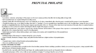 Blackwell's 5 Minute Veterinary Consult - Ruminant