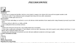 Blackwell's 5 Minute Veterinary Consult - Ruminant