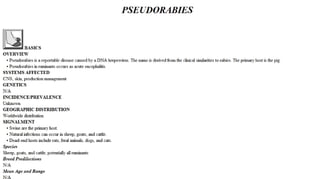 Blackwell's 5 Minute Veterinary Consult - Ruminant