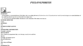 Blackwell's 5 Minute Veterinary Consult - Ruminant