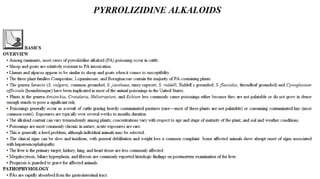 Blackwell's 5 Minute Veterinary Consult - Ruminant