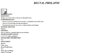 Blackwell's 5 Minute Veterinary Consult - Ruminant