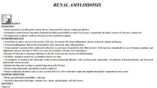 Blackwell's 5 Minute Veterinary Consult - Ruminant