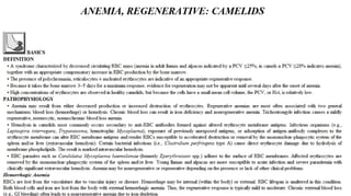 Blackwell's 5 Minute Veterinary Consult - Ruminant