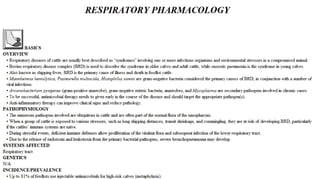 Blackwell's 5 Minute Veterinary Consult - Ruminant