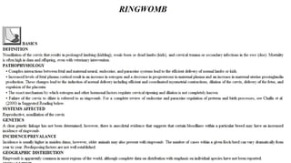 Blackwell's 5 Minute Veterinary Consult - Ruminant