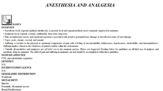 Blackwell's 5 Minute Veterinary Consult - Ruminant