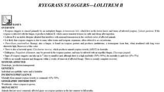 Blackwell's 5 Minute Veterinary Consult - Ruminant