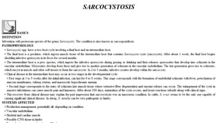 Blackwell's 5 Minute Veterinary Consult - Ruminant