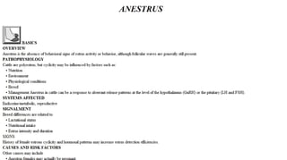 Blackwell's 5 Minute Veterinary Consult - Ruminant