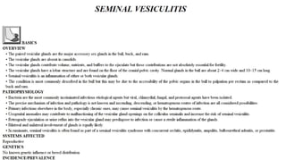 Blackwell's 5 Minute Veterinary Consult - Ruminant