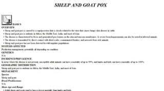 Blackwell's 5 Minute Veterinary Consult - Ruminant