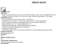 Blackwell's 5 Minute Veterinary Consult - Ruminant