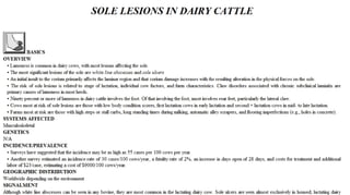 Blackwell's 5 Minute Veterinary Consult - Ruminant