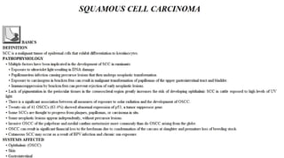 Blackwell's 5 Minute Veterinary Consult - Ruminant