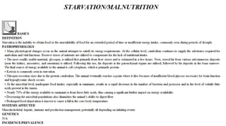 Blackwell's 5 Minute Veterinary Consult - Ruminant