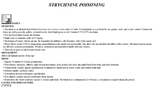 Blackwell's 5 Minute Veterinary Consult - Ruminant