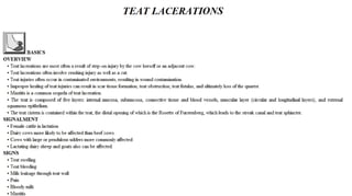 Blackwell's 5 Minute Veterinary Consult - Ruminant