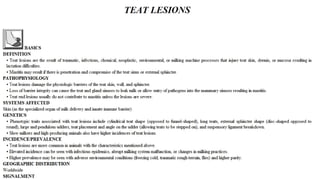 Blackwell's 5 Minute Veterinary Consult - Ruminant