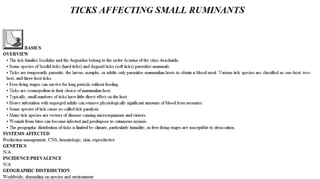 Blackwell's 5 Minute Veterinary Consult - Ruminant