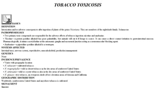 Blackwell's 5 Minute Veterinary Consult - Ruminant