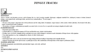 Blackwell's 5 Minute Veterinary Consult - Ruminant