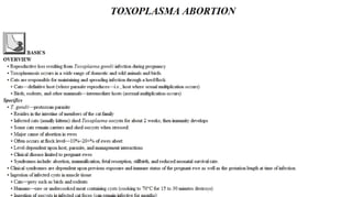 Blackwell's 5 Minute Veterinary Consult - Ruminant