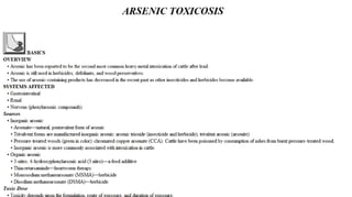 Blackwell's 5 Minute Veterinary Consult - Ruminant