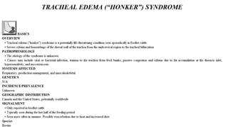 Blackwell's 5 Minute Veterinary Consult - Ruminant