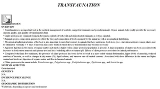 Blackwell's 5 Minute Veterinary Consult - Ruminant