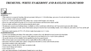 Blackwell's 5 Minute Veterinary Consult - Ruminant