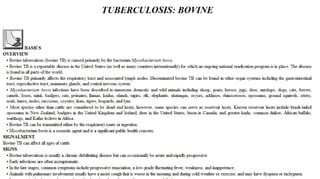 Blackwell's 5 Minute Veterinary Consult - Ruminant