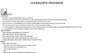 Blackwell's 5 Minute Veterinary Consult - Ruminant