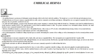 Blackwell's 5 Minute Veterinary Consult - Ruminant