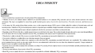 Blackwell's 5 Minute Veterinary Consult - Ruminant