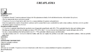 Blackwell's 5 Minute Veterinary Consult - Ruminant