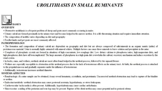 Blackwell's 5 Minute Veterinary Consult - Ruminant