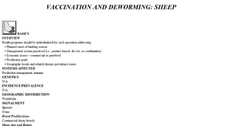 Blackwell's 5 Minute Veterinary Consult - Ruminant